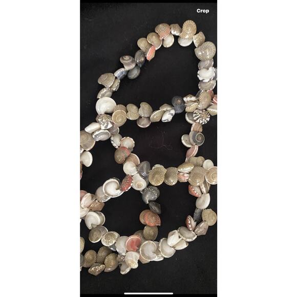 Seashell Necklace 28”Tiny Sundial & Nutmeg Shells No clasp - Picture 5 of 7